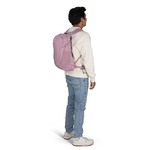 Osprey Daylite Commuter Backpack - Lightweight Everyday Bag with Laptop Sleeve, Bottle Pockets, Iris Pink - color: Iris Pink