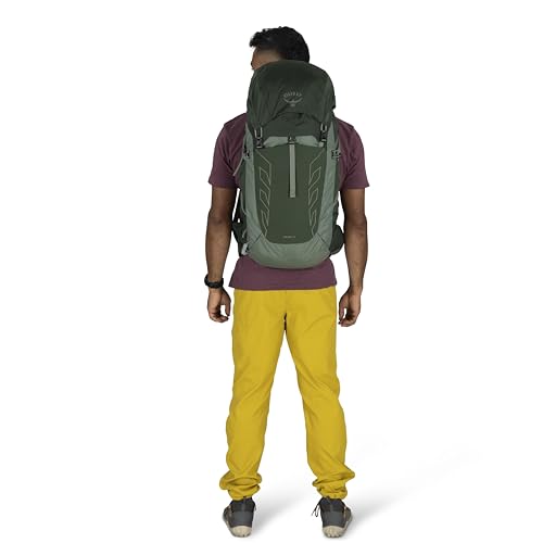 Osprey Talon 33L Men's Lightweight Hiking Backpack - Daypack for Travel & Camping, Green Canopy/Pine Leaf - color: Green Canopy/Pine Leaf, size: 33L - Standard Fit