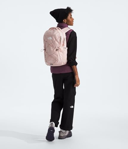 The North Face Women's Jester Everyday Laptop Backpack - Commuter Travel Bag, Laptop Sleeve, Water-Repellent, Pink Moss, One Size - color: Pink Moss