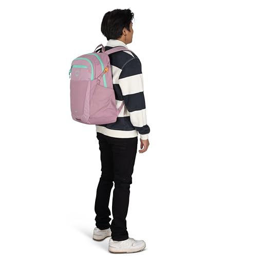 Osprey Flare Commuter Laptop Backpack - color: Iris Pink