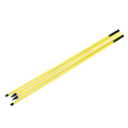 RiToEasysports Swing Trainer Epoxy Fiberglass Direction Indicator Stick 48.23in Foldable Practice Stick for Putting Swing Alignment Training for Beginners and Coaches
