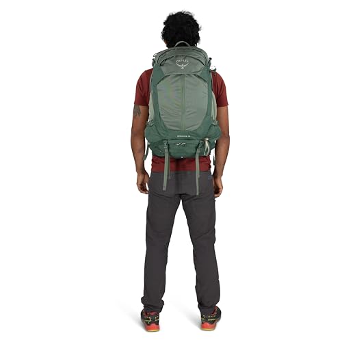 Osprey Stratos 34L Men's Hiking Backpack - Camping Bag with Waterproof Raincover, Bottle Pockets, & Gear Straps, Pine Leaf - color: Pine Leaf, style: 34l