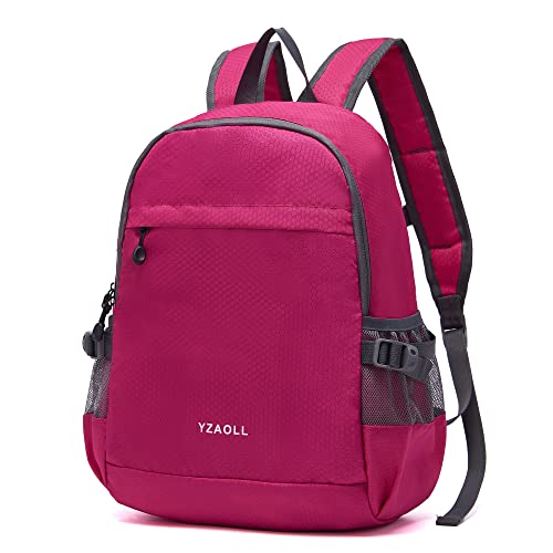 YZAOLL 20L Small Hiking Backpack Lightweight Day Packs, Packable Backpack for Women Men Travel Camping Vacation,Rose - color: A-20l-arose