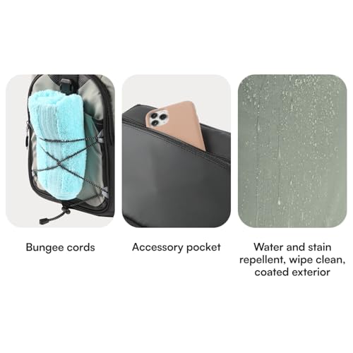 Titan by Arctic Zone Backpack Cooler, Insulated Soft Sided Bag with Leak Proof Lining and Padded Straps, for Lunch, Picnic, and Travel, 24 Can Capacity - color: Seagrass
