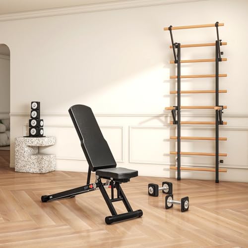 DHT Weight Bench, Adjustable Weight Benches for Home Gym, Workout Bench with Fast Folding, Incline Decline Bench Press for Full Body, Black