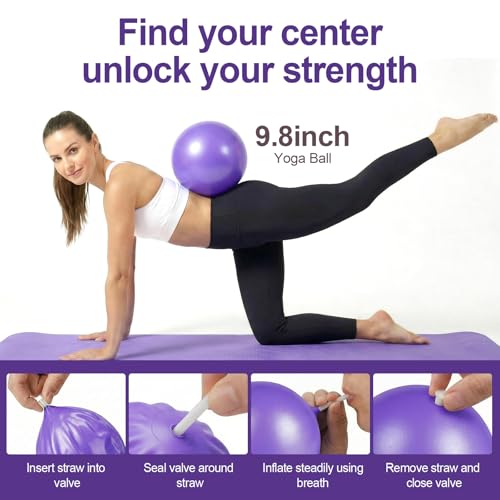Home Pilates Ring and Ball Set for Women with 5 Resistance Bands 13 inch Magic Circle Workout Starter Kit for Beginners Full Body Toning 15 Min Daily Routine - color: Purple Mix