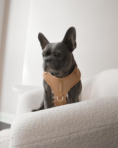 Premium No-Pull Dog Harness Soft Neoprene & Breathable Mesh Vest with Front & Back Clip D-Rings Adjustable Lightweight Walking Harness for Puppies, Small & Medium Dogs (Beige, XS) - color: Beige, size: XS: Neck 10.6-14.2'', Chest 14.2-18.9''