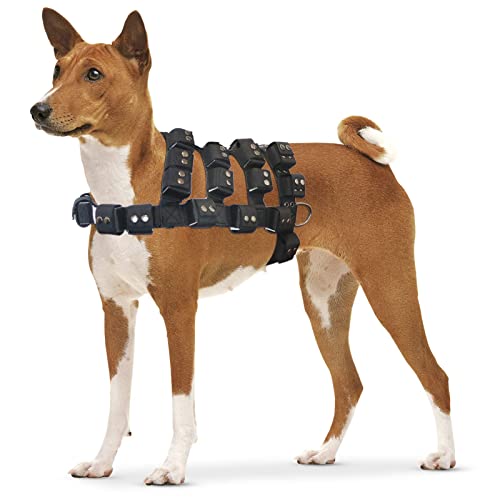 Dog Harness for Small Medium Large Dogs No Pull, Dog Weighted Vest, Tactical Dog Harness for Pit Bulls with Pockets (Adjustable Weight) - Weight Loss, Exercise, Walking, Muscle - size: Size L/Dog's Waist 29.5"-36.5"
