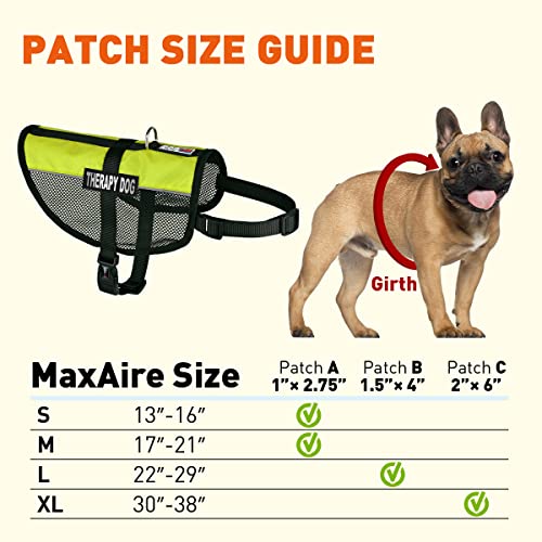 Dogline MaxAire Multi-Purpose Mesh Vest for Dogs and 2 Removable Therapy Dog Patches, Small, Green - color: Green, size: Girth 13 by 16"