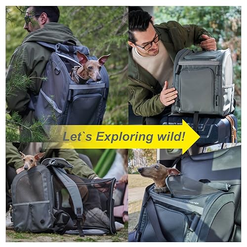 Expandable Pet Carrier, Airline-Approved Foldable and Detachable Backpack, Fits 13lbs Cat&11lbs Small Puppy Dog, for Car Travel,Camping and Emergency Transportation and Shelter (Grey)