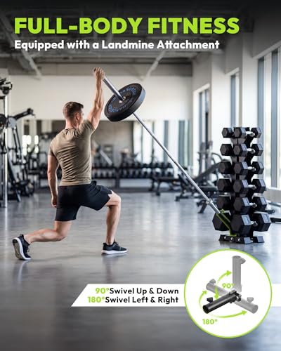 HANDBODE A-Frame Dumbbell Rack Heavy Duty Weight Stand for Dumbbells, Space-Saving Metal Storage Organizer, Sturdy Dumbbell Holder for Home Gym - style: 510 lb Set (20, 30, 40, 50, 55, 60 lb) *2 & Rack