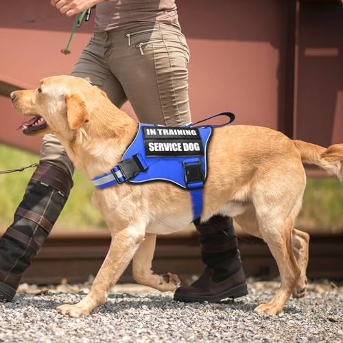 Service Dog Vest Harness and Leash Set+10 Patches,No Pull&Easy Walk Reflective Dog Harness with Soft Padded Handle for Training/Everyday,Fit Small/Medium/Large/Extra-Large Dogs (Blue S) - color: Blue, size: Small