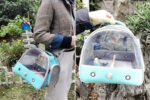Bird Carrier, Portable Small Bird Parrot Parakeet Carrier with Standing Perch and Stainless Steel Tray, Side Access Window Collapsible (Green, Clear Windows) - color: Green