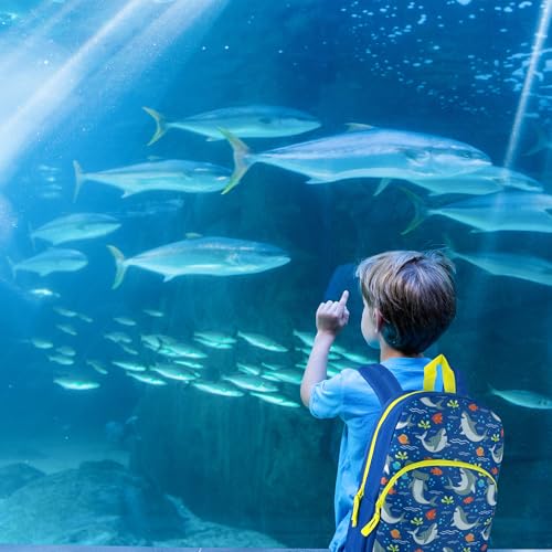 Trail maker 15 Inch Kids Backpacks for Boys & Girls | Preschool, Kindergarten, Elementary School Backpacks with Adjustable, Padded Straps (Seafaring Sharks) - color: Seafaring Sharks