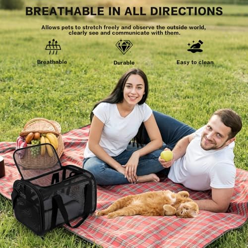 Cat Carrier, Soft-Sided Pet Carrier Bag, Breathable Mesh, Black (Black, 20 * 13 * 13) - color: black, size: 20*13*13