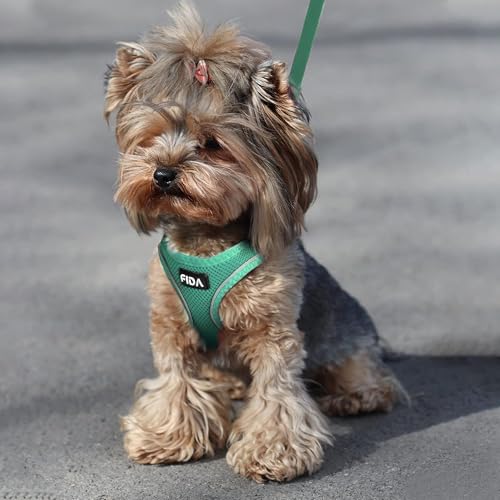 Fida Cat Harness and Leash Set for Walking Kitten and Puppy, Escape Proof Kitten Harness with Breathable Lightweight Soft Mesh, Adjustable Reflective Step-in Design. (XXS, Green) - color: Turquoise, size: XXS (Neck:11.4"-12.2"; Girth:12.6"-14.2")