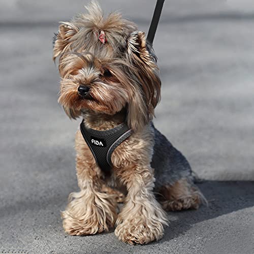 Fida Comfy Dog Harness with Leash, Cat Vest Harness Escape Proof, Breathable Lightweight Soft Mesh, Adjustable Reflective Step-in Harness for Puppy Toy Breeds & Extra-Small Pet (XXS, Black) - color: Black, size: XXS (Neck:11.4"-12.2"; Girth:12.6"-14.2")