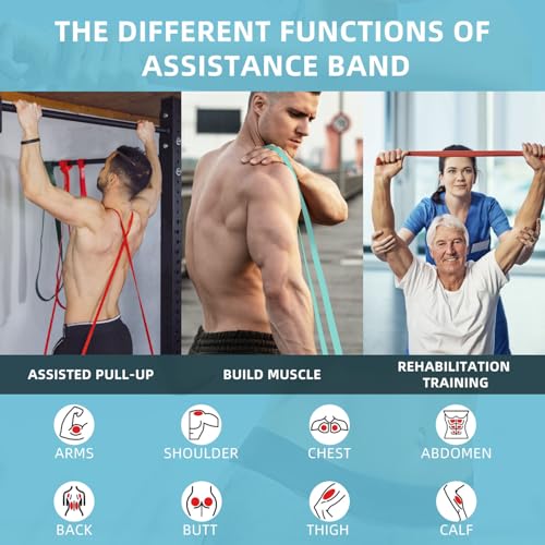 Resistance Bands, Pull Up Bands, Pull Up Assist Band Exercise Bands for Men & Women Working Out, Body Stretching, Physical Therapy, Muscle Training - color: Purple