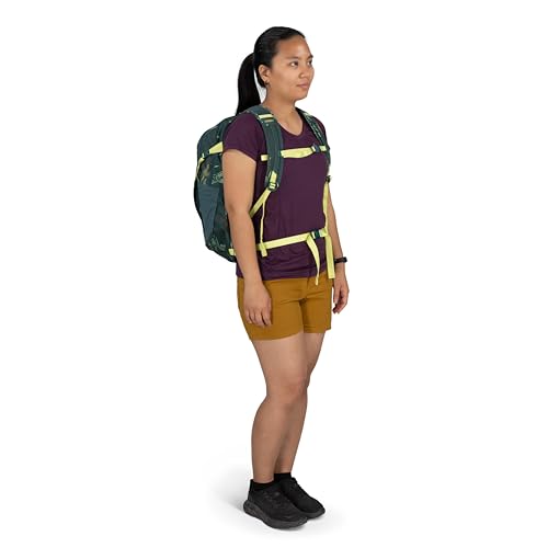 Osprey Daylite Plus Commuter Backpack - Everyday Pack with Laptop Sleeve, Bottle Pockets, and Extra Storage, Fuzzy Window Print/Torrent Blue - color: Fuzzy Window Print-torrent Blue