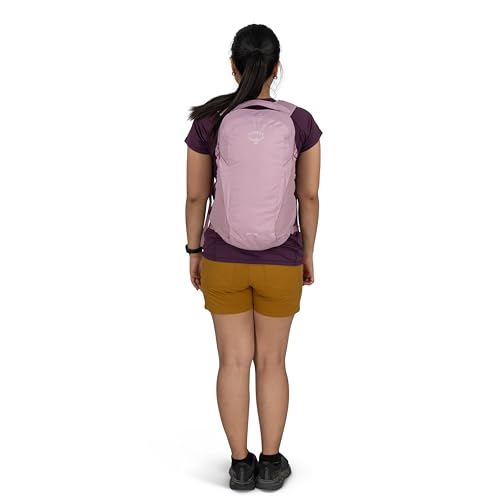 Osprey Daylite Commuter Backpack - Lightweight Everyday Bag with Laptop Sleeve, Bottle Pockets, Iris Pink - color: Iris Pink
