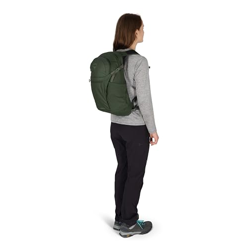 Osprey Daylite Plus Commuter Backpack – Lightweight, Everyday Pack with Laptop Sleeve and Water Bottle Pockets – Ideal for Work, School, and Travel, Seaweed Green Amazon Exclusive - color: Seaweed Green - Amazon Exclusive