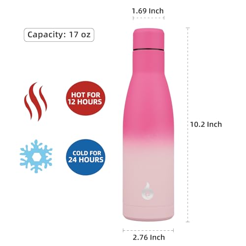BJPKPK 17 oz Insulated Thermal Metal Water Bottle, Stainless Steel Flask - color: Cherry, size: 17 Ounces