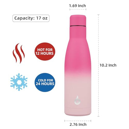 BJPKPK 17 oz Insulated Thermal Metal Water Bottle, Stainless Steel Flask - color: Cherry, size: 17 Ounces