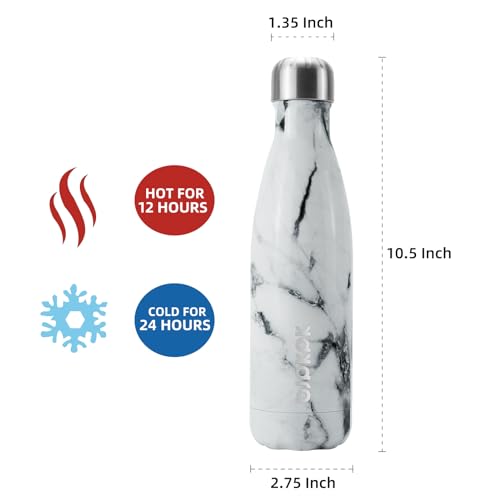 BJPKPK 17 oz Small Insulated Water Bottle, Stainless Steel, Leak Proof - color: Frozen, size: 17 Ounces