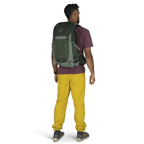 Osprey Talon 22L Men's Lightweight Hiking Backpack - Small Daypack for Travel & Camping, Green Canopy/Pine Leaf - color: Green Canopy/Pine Leaf, size: 22L - Standard Fit