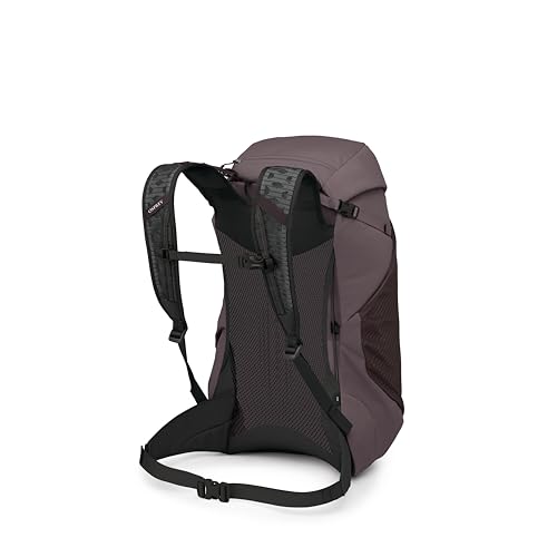 Osprey Hikelite LT 30L Hiking Backpack - Lightweight Travel Daypack with Rain Cover for Men and Women, Graphite Purple - color: Graphite Purple, style: 30l