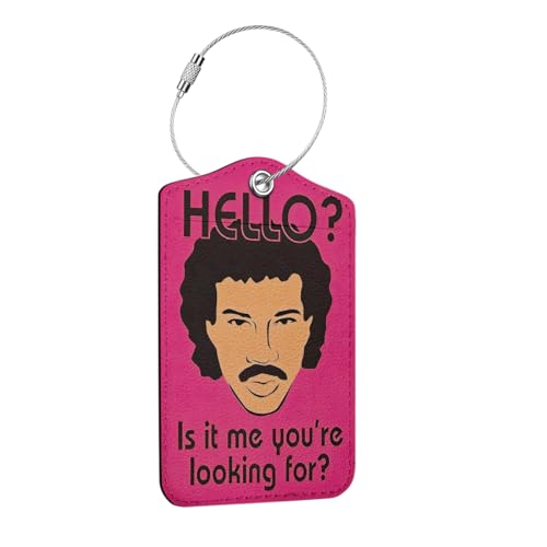 Funny Luggage Tag, Humorous Quotes Suitcase Tags with Privacy Flap and Metal Loop, Luggage Tags for Suitcases, Identifiers Travel Essentials Bag Tag, Funny Gifts for Women Men Friends - color: Multicolored 1673