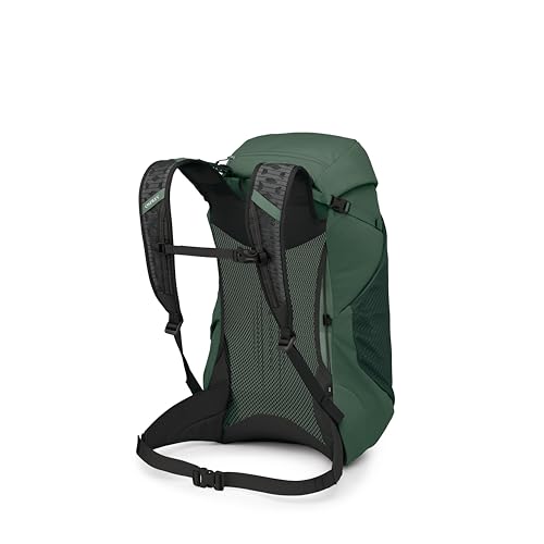 Osprey Hikelite LT 30L Hiking Backpack - Lightweight Travel Daypack with Rain Cover for Men and Women, Tundra Green - color: Tundra Green, style: 30l