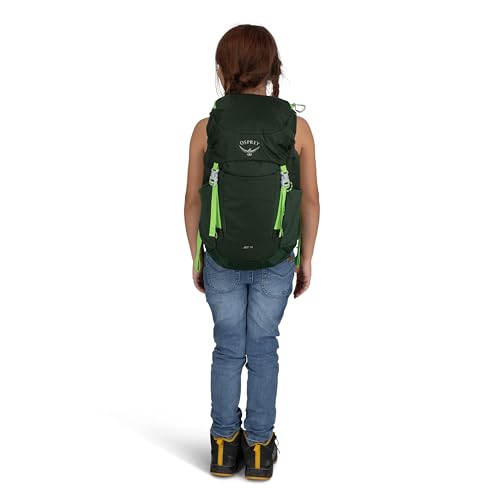 Osprey Jet 18L Kid's Hiking Backpack, Blue OS - color: Blue Spikemoss, size: 18L