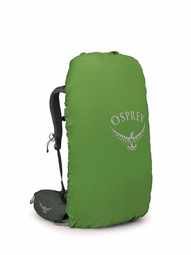 Osprey Kestrel 38L Men's Backpacking Backpack, Bonsai Green, L/XL - color: Bonsai Green, size: Large-X-Large
