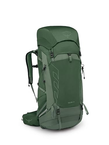 Osprey Talon 44L Men's Lightweight Hiking Backpack - Daypack for Travel & Camping, Green Canopy/Pine Leaf, S/M - color: Green Canopy/Pine Leaf, size: Small-Medium