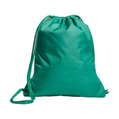 Classic 3S 2.0 Sackpack - color: Semi Court Green