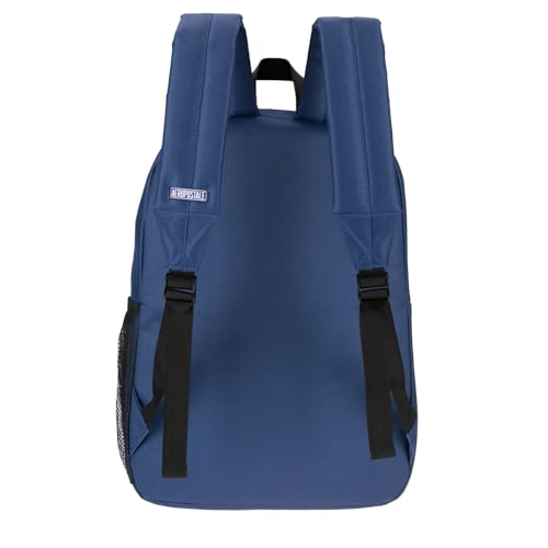 AEROPOSTALE Fieldtrip Unisex Backpack - AE Mens and Womens Bag for Everyday Use - Navy - color: Navy Bear