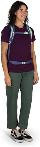Osprey Daylite Plus Commuter Backpack - Lightweight, Everyday Pack with Laptop Sleeve and Water Bottle Pockets - Ideal for Work, School, and Travel with Versatile Storage, Green Belt/Green Canopy - color: Green Belt/Green Canopy