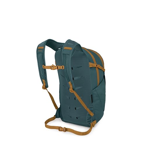 Osprey Daylite Plus Commuter Backpack - Everyday Pack with Laptop Sleeve, Bottle Pockets, and Extra Storage, Torrent Blue - color: Torrent Blue