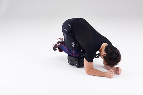 DANNO D7091 Ab Roller, AB Roller, Elbow Support, 4 Wheels, Auto Return, Quiet, Muscle Training, Beginner/Advanced, Men/Women, Exercise Wheel, Easy Assembly