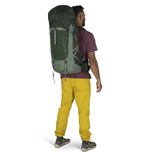 Osprey Talon 44L Men's Lightweight Hiking Backpack - Daypack for Travel & Camping, Green Canopy/Pine Leaf, L/XL - color: Green Canopy/Pine Leaf, size: Large-X-Large
