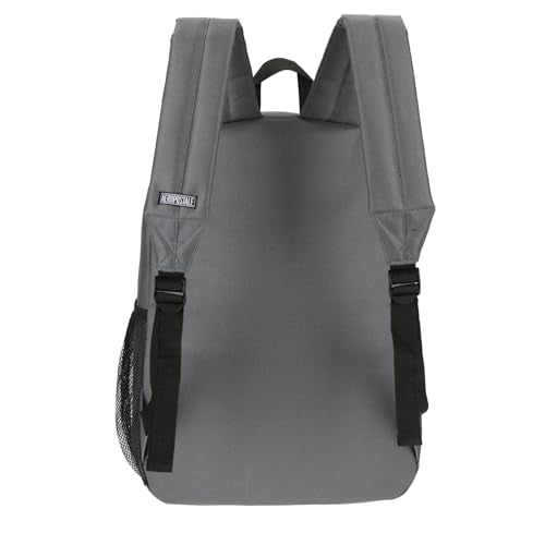 AEROPOSTALE Fieldtrip Unisex Backpack - AE Mens and Womens Bag for Everyday Use - Grey - color: Gray Aero