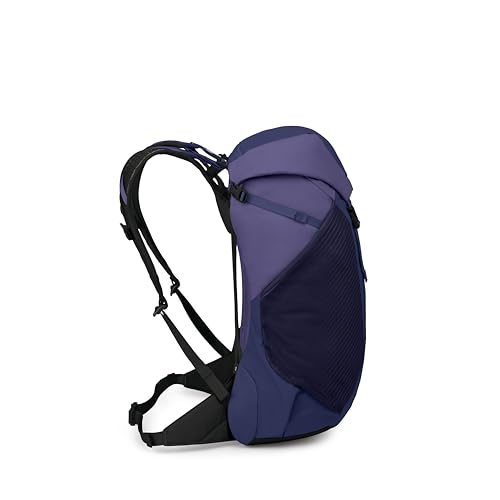 Osprey Hikelite LT 30L Hiking Backpack - Lightweight Travel Daypack with Rain Cover for Men and Women, Botswana Purple - color: Botswana Purple, style: 30l