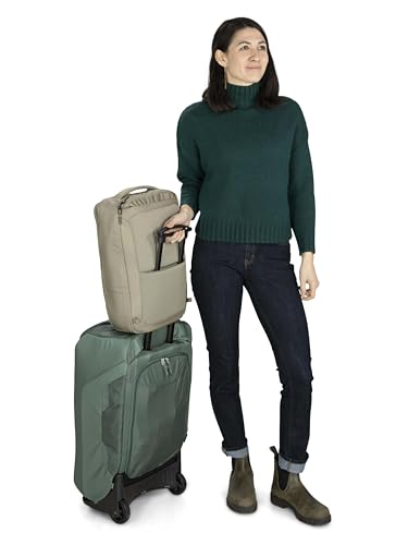 Osprey Aoede 25L Commuter Briefcase Backpack, Antique Blue - color: Antique Blue