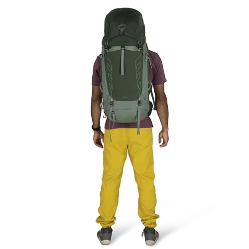 Osprey Talon 44L Men's Lightweight Hiking Backpack - Daypack for Travel & Camping, Green Canopy/Pine Leaf, L/XL - color: Green Canopy/Pine Leaf, size: Large-X-Large