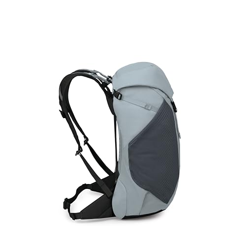 Osprey Hikelite LT 30L Hiking Backpack - Lightweight Travel Daypack with Rain Cover for Men and Women, Silver Lining - color: Silver Lining, style: 30l