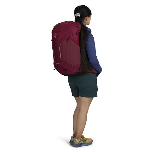Osprey Hikelite 28L Lightweight Hiking Backpack - Durable Travel Daypack with Rain Cover for Men and Women, Chameleon/Black, S/M - color: Chameleon/Black, size: Small-Medium