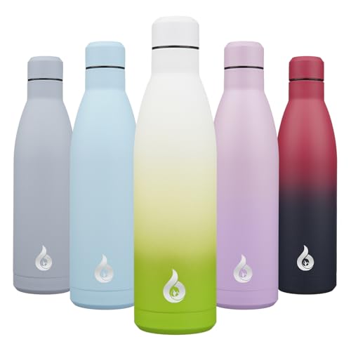 BJPKPK 25 oz Insulated Stainless Steel Water Bottle, Metal Sports Flask - color: Elegant Green, size: 25 Ounces
