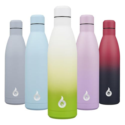 BJPKPK 25 oz Insulated Stainless Steel Water Bottle, Metal Sports Flask - color: Elegant Green, size: 25 Ounces
