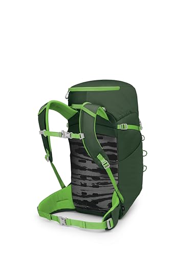 Osprey Jet 28L Kid's Hiking Backpack, Green OS - color: Green Canopy, size: 28L